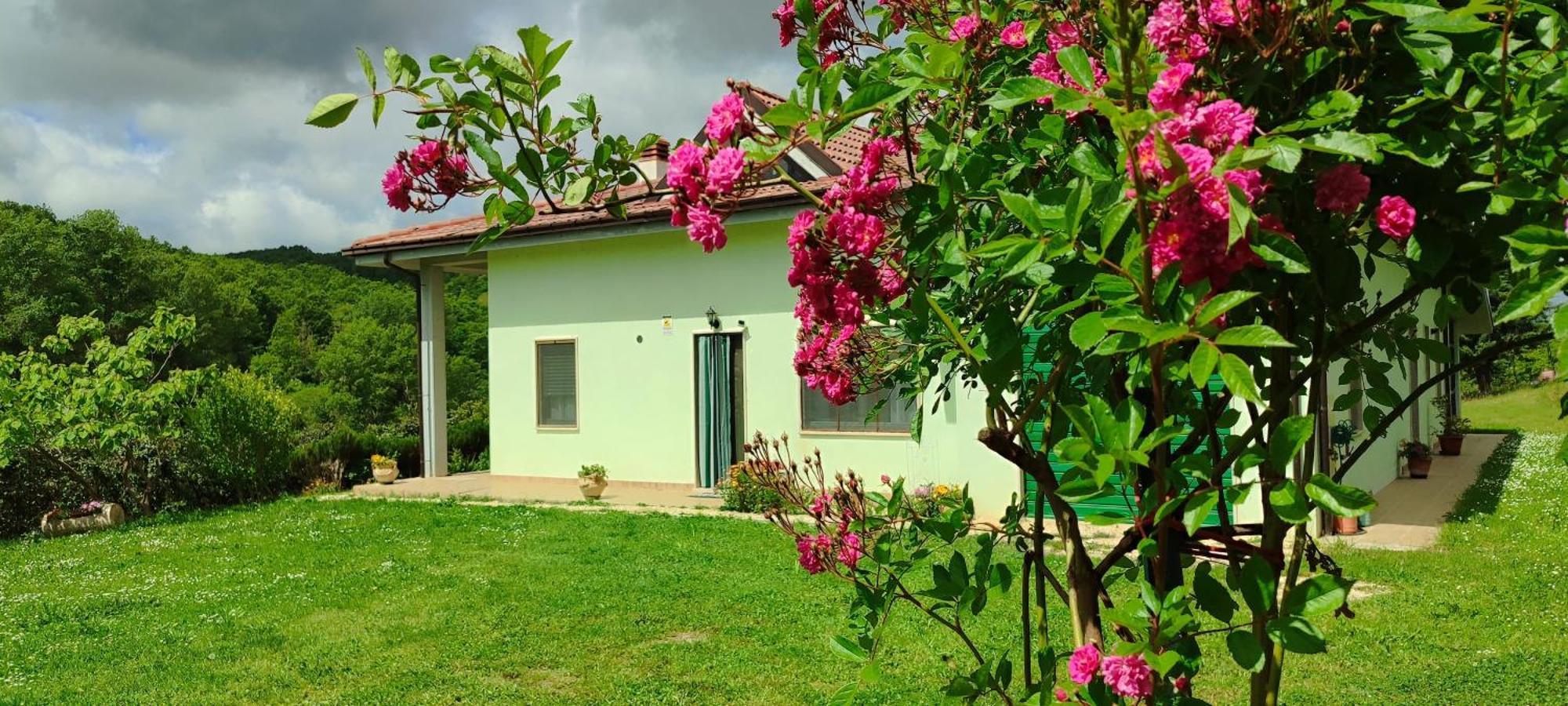 Pia'S House Garden Lägenhet Campobasso Exteriör bild